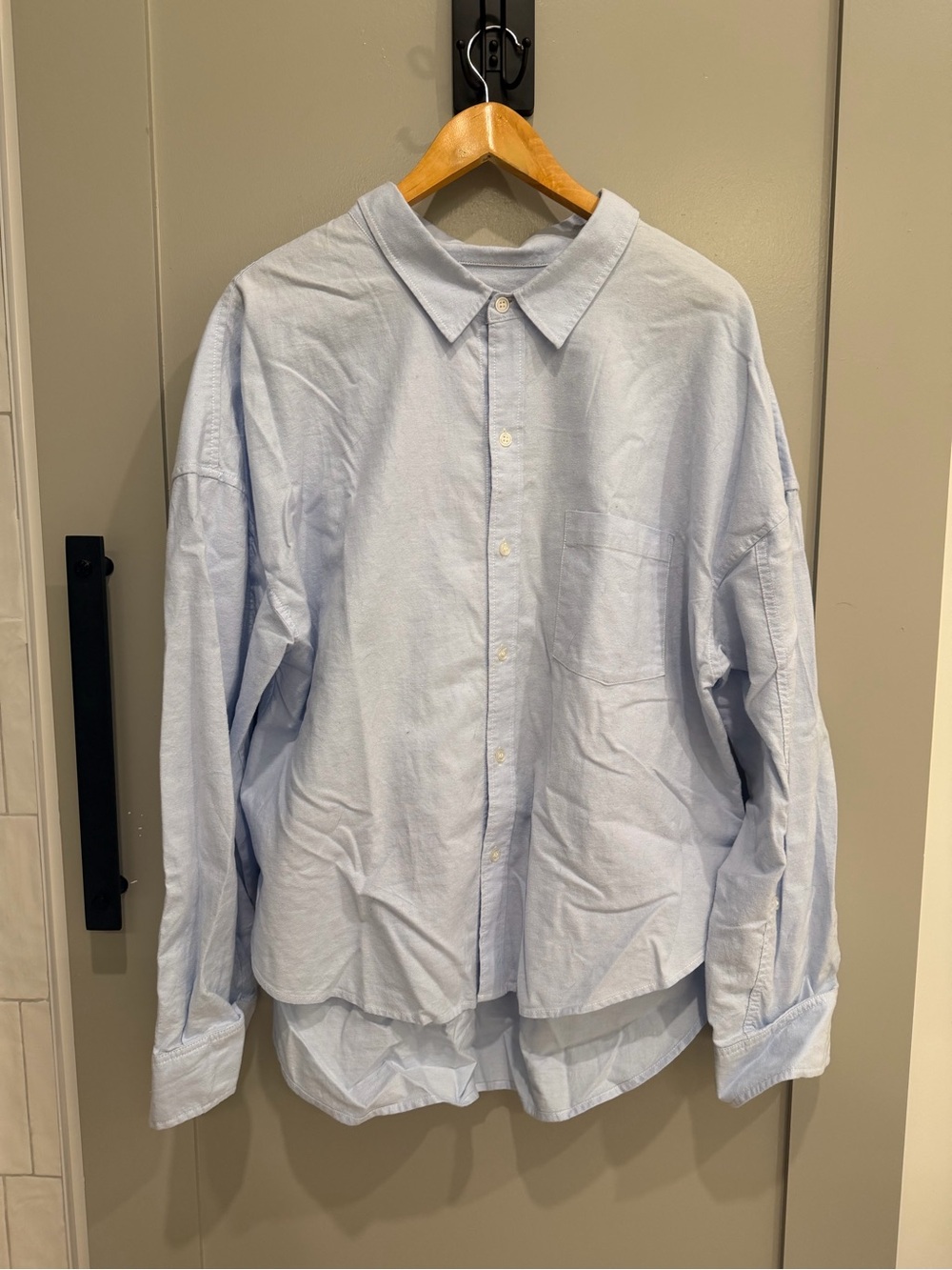 Oversized Citizens of Humanity Oxford Cloth Light Blue Shirt